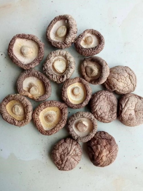 Dried shiitake mushrooms