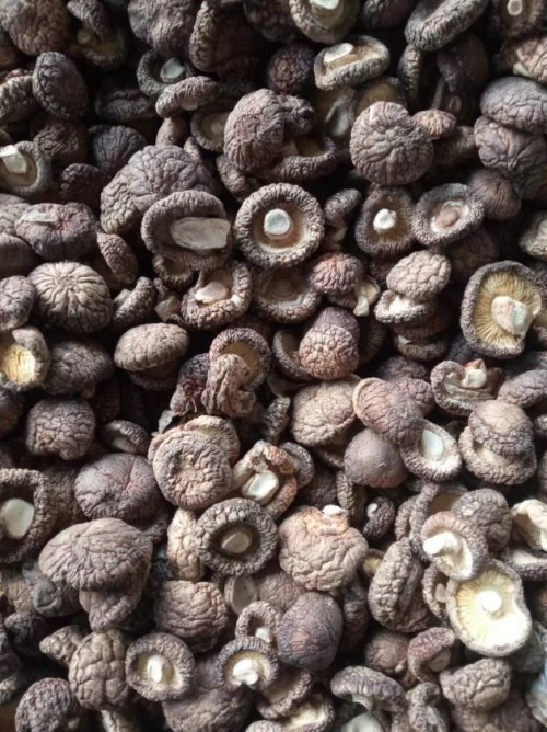 Dried shiitake mushrooms