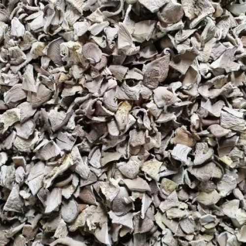 Dried oyster mushroom