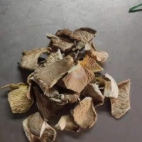 Dried oyster mushroom